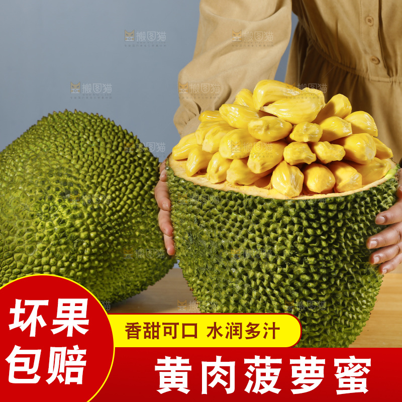 手里抱着海南黄肉菠萝蜜