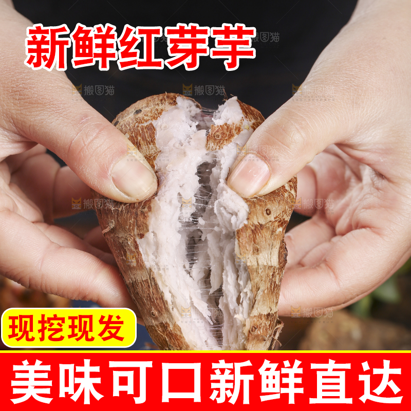 手里拿着熟的小芋头