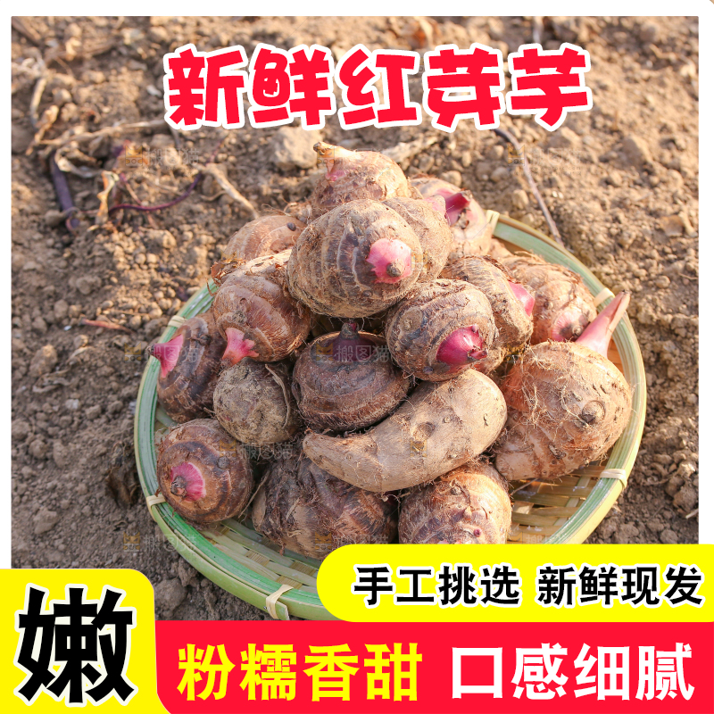 一篮红芽小芋头