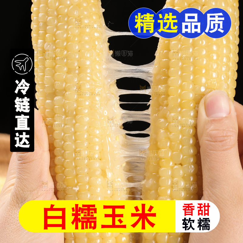 手里拿着白糯玉米棒