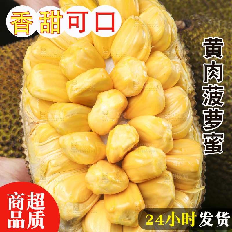 手里捧着黄肉菠萝蜜