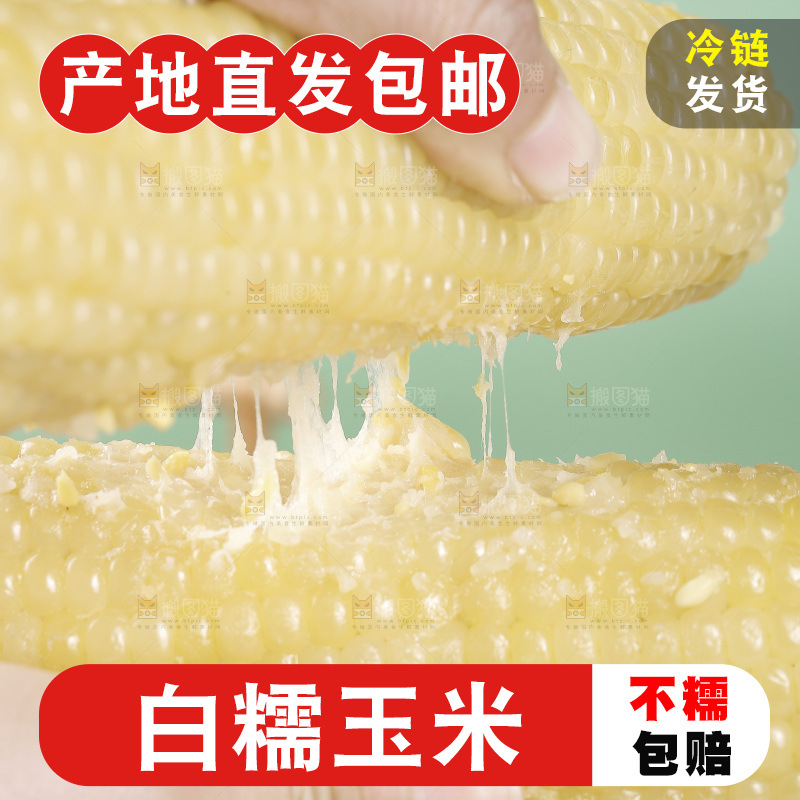 白糯玉米主图