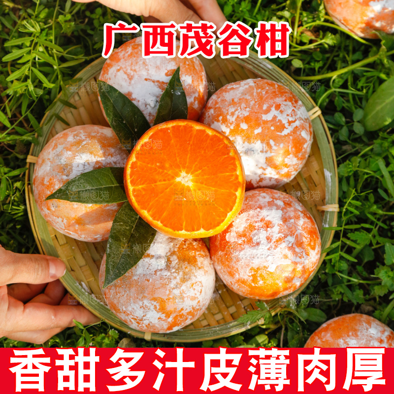 一篮新鲜茂谷柑