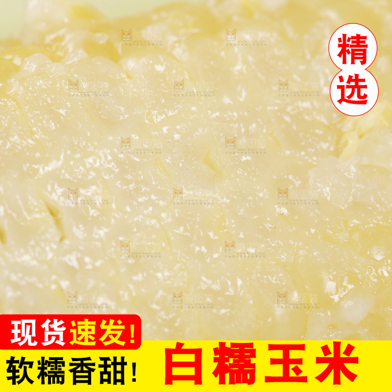 新鲜白糯玉米