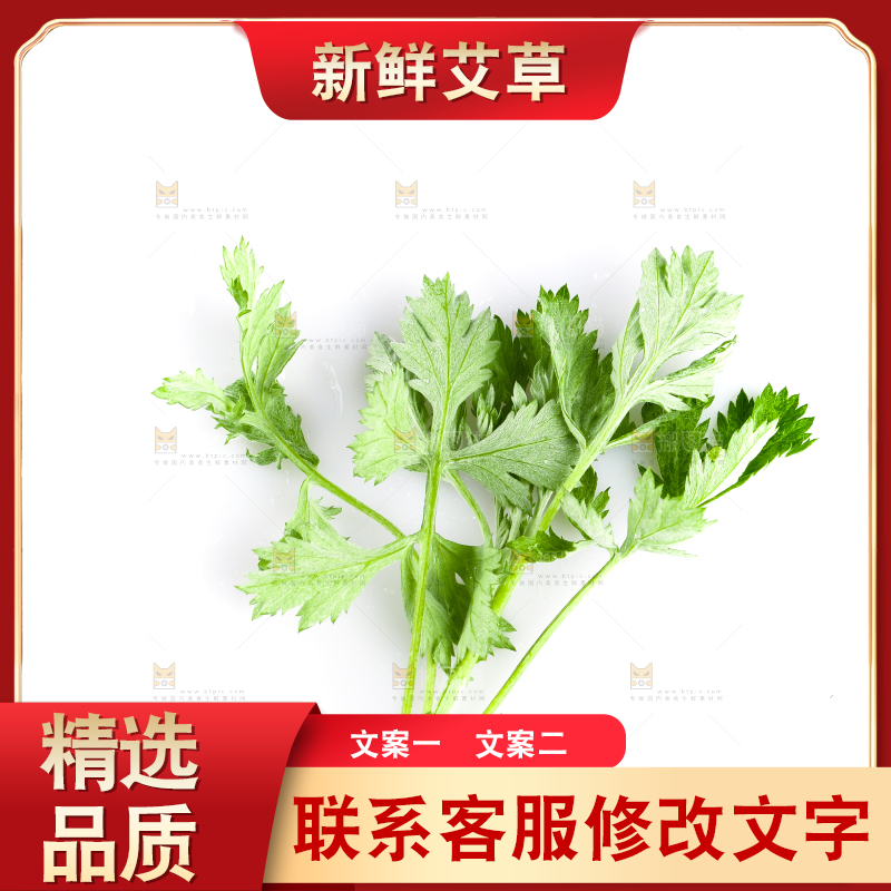 白底上放着艾草叶