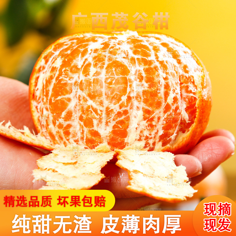 手里拿着茂谷柑