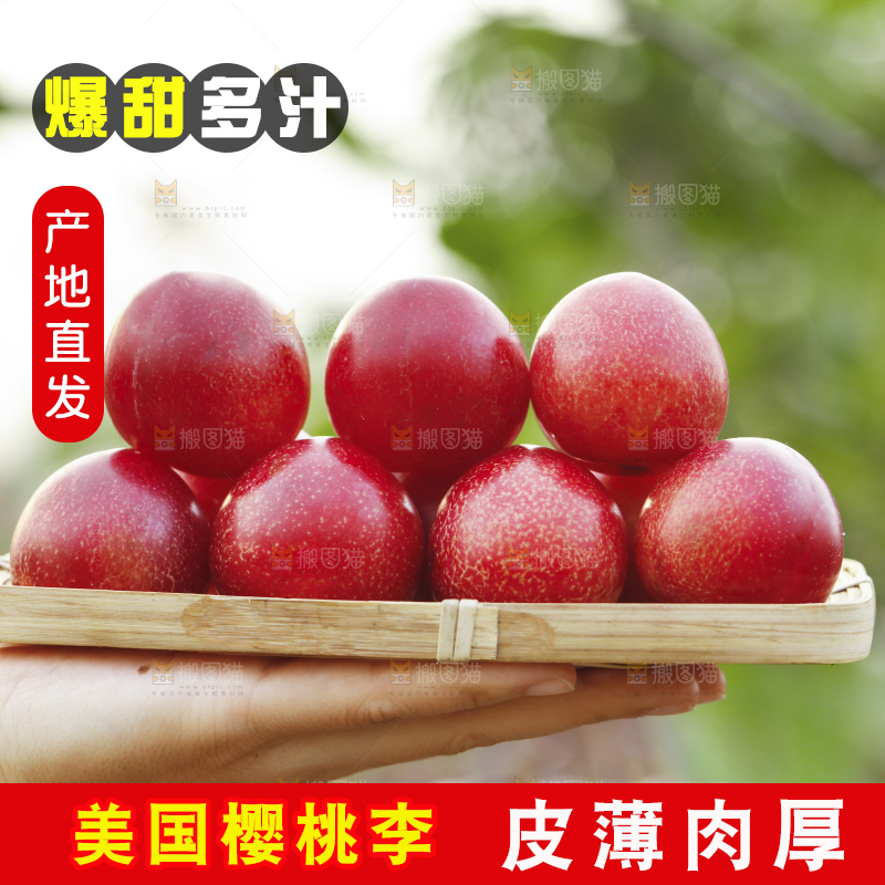 手里端着新鲜樱桃李