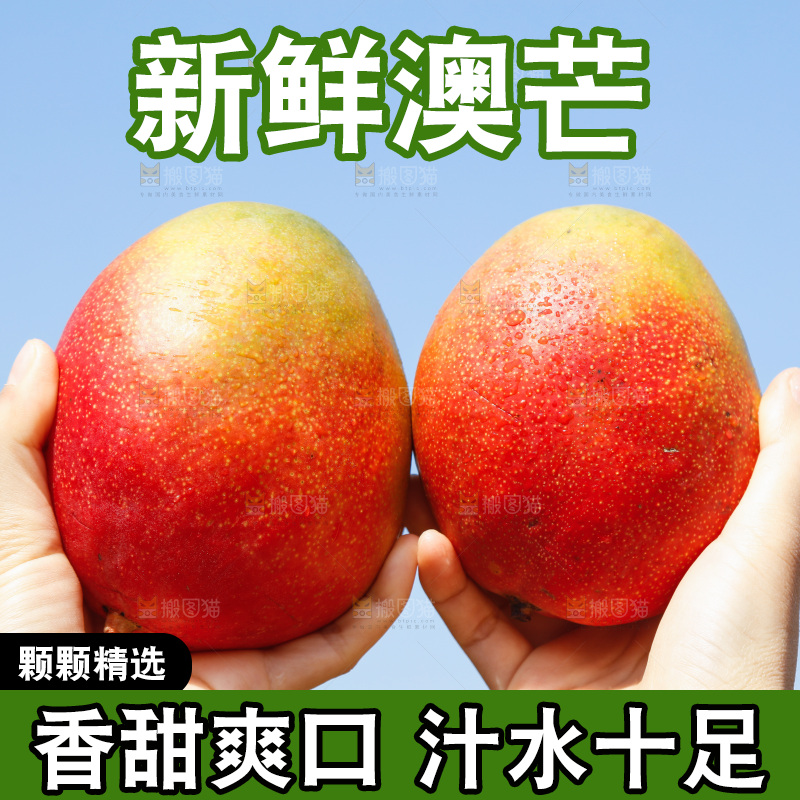 手里拿着澳芒