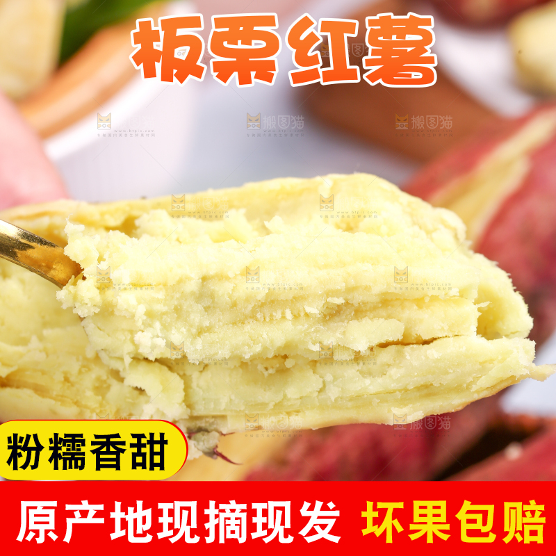 蒸熟的黄心板栗薯