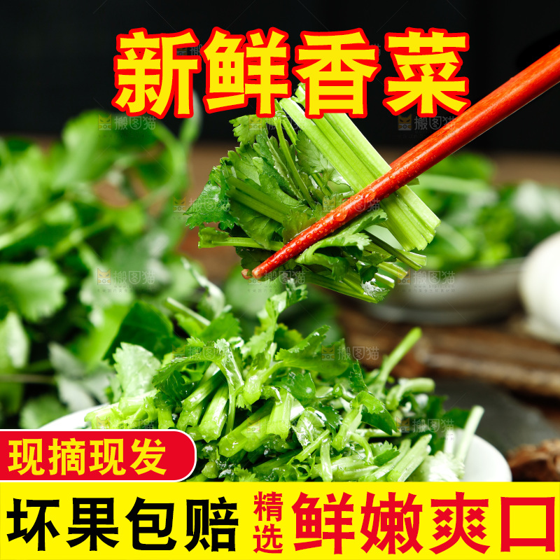 一盘香菜