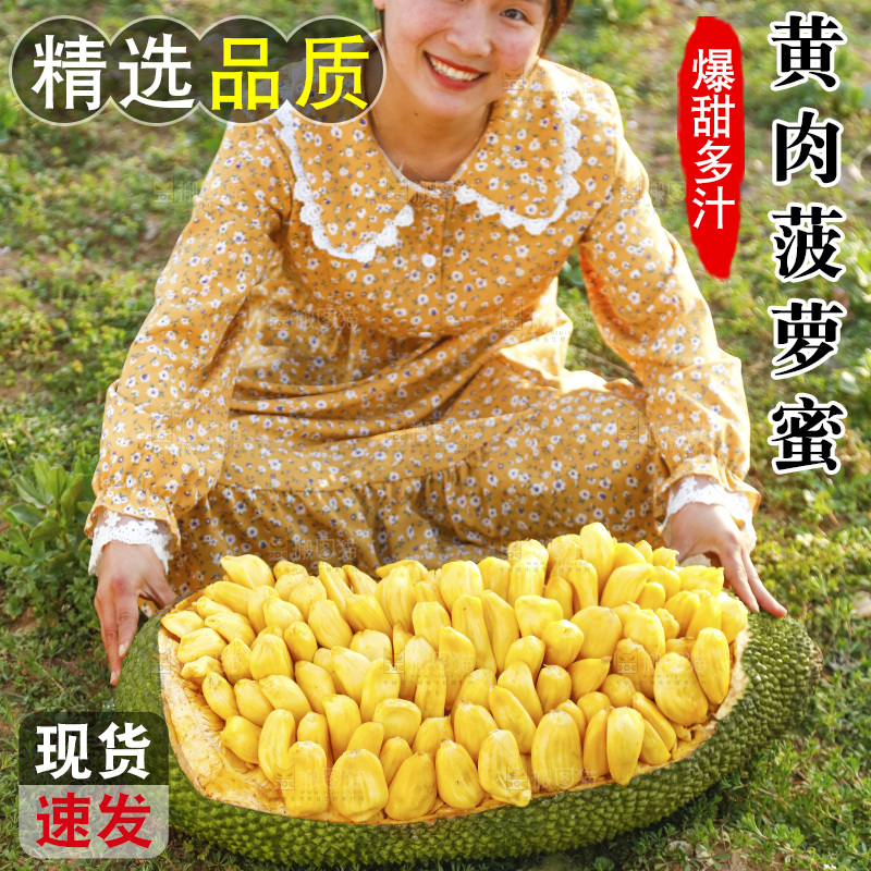 手里抱着黄肉菠萝蜜