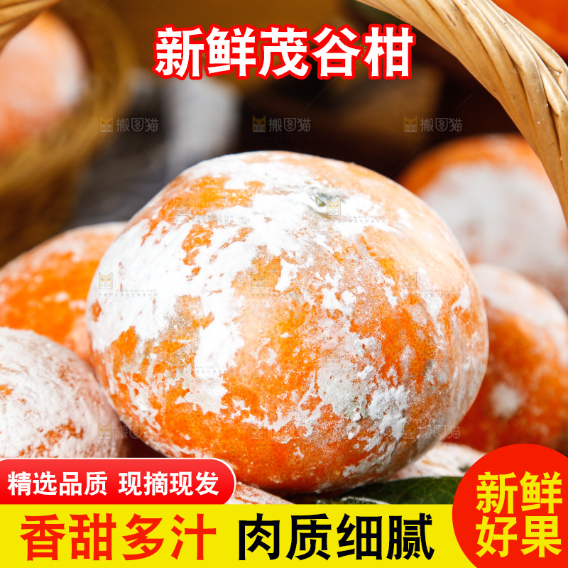 一篮广西茂谷柑