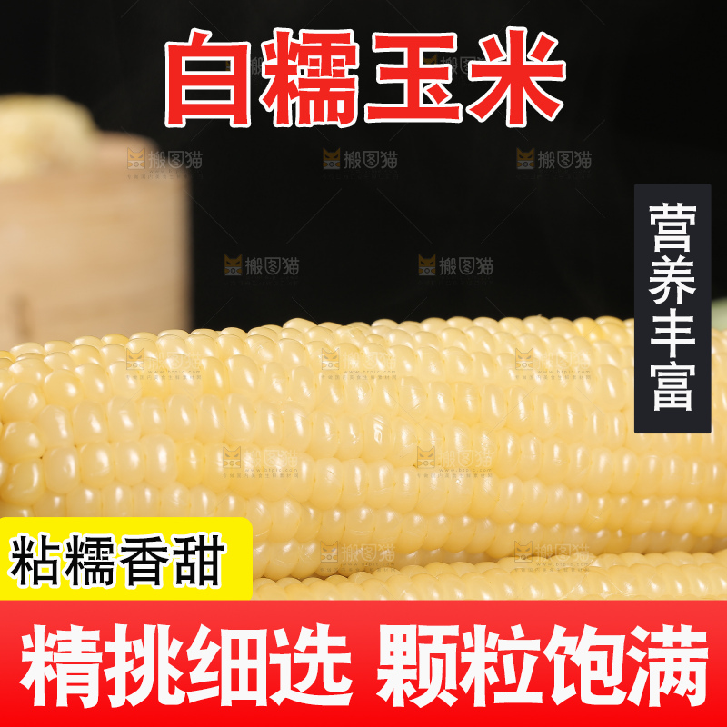 新鲜的白糯玉米