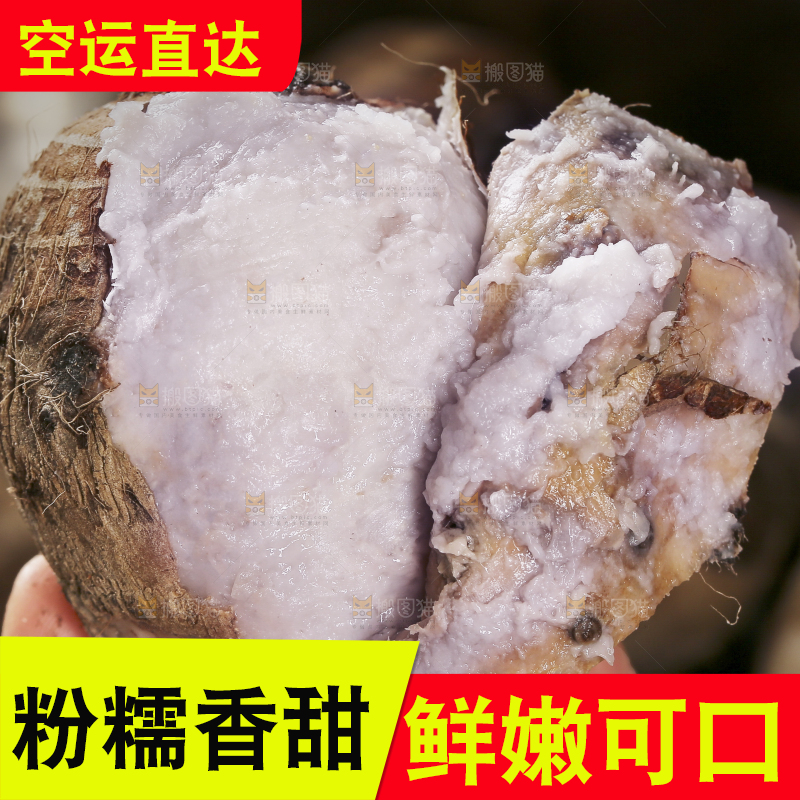 手里拿着蒸熟的芋头