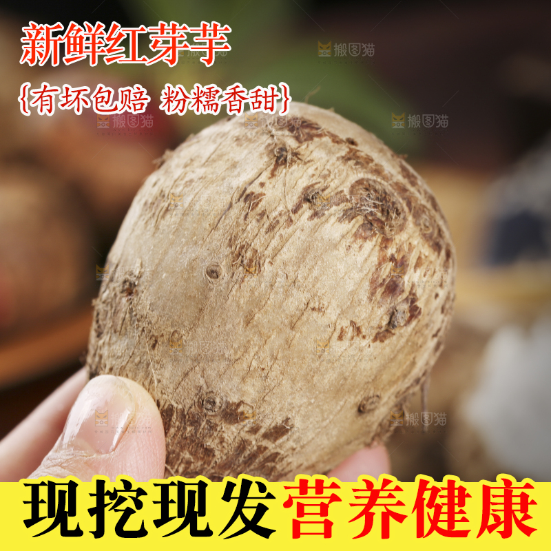 手里拿着小芋头