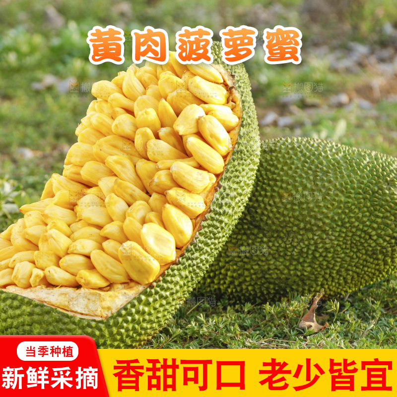 新鲜黄肉菠萝蜜