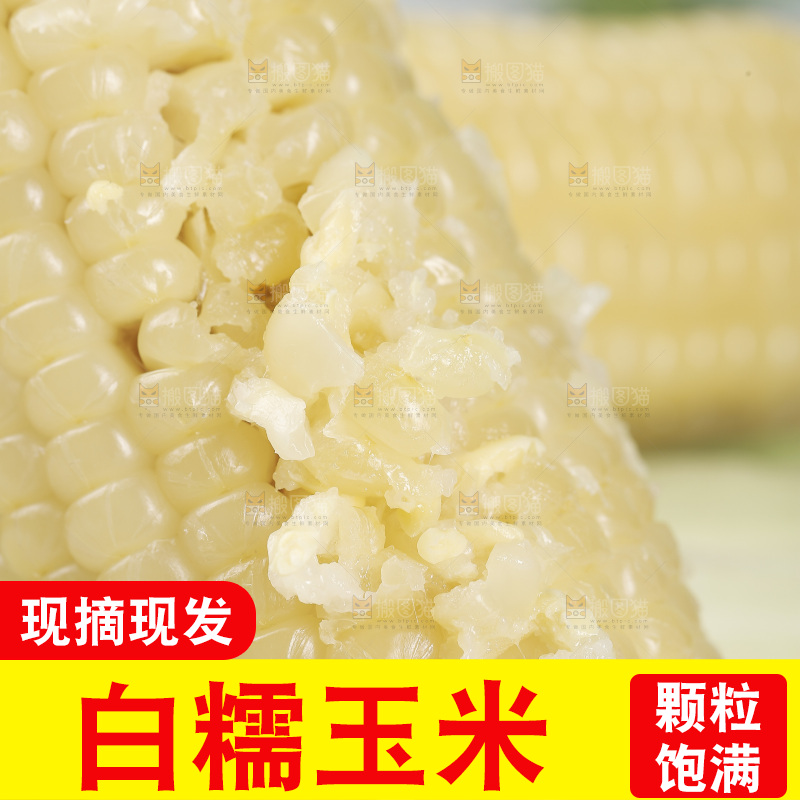 新鲜白糯玉米