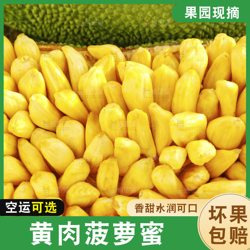 新鲜黄肉菠萝蜜