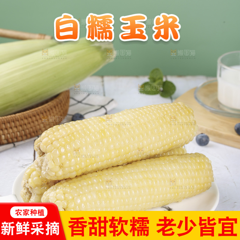 一盘白糯玉米