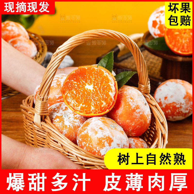 一篮广西茂谷柑