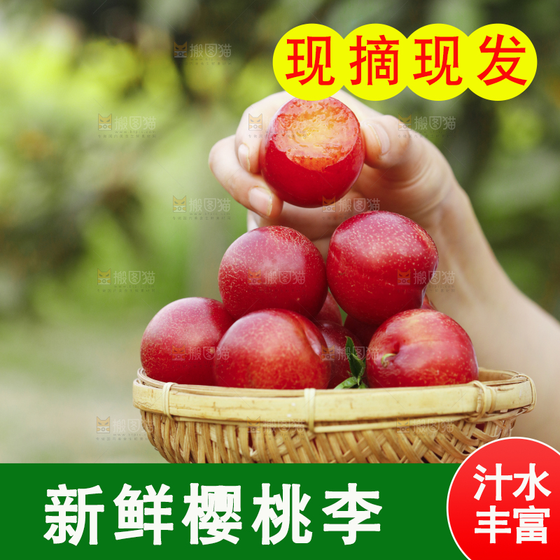 一篮智利樱桃李