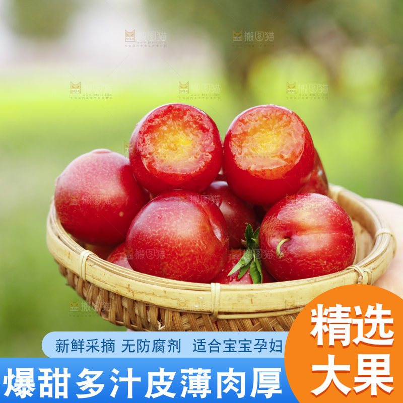 一篮智利樱桃李