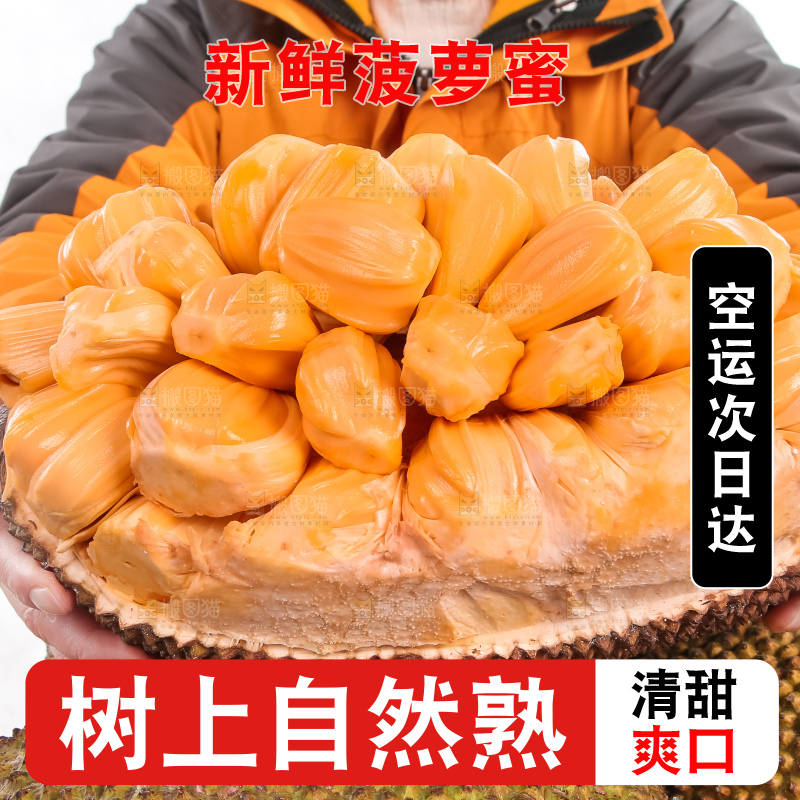 手里捧着红肉菠萝蜜