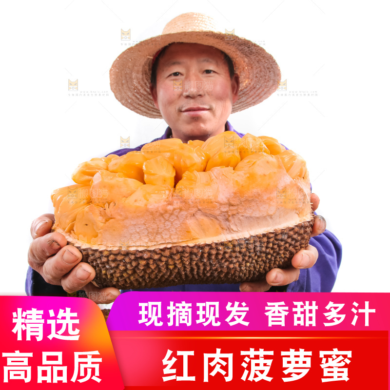 农民手里捧着红肉菠萝蜜