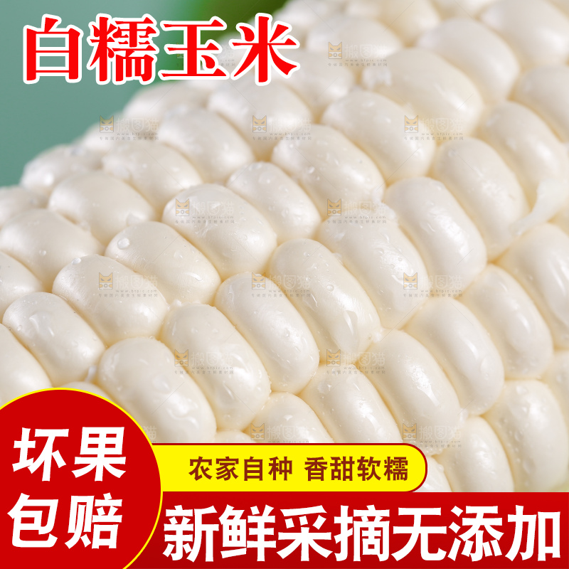 新鲜的白糯玉米棒