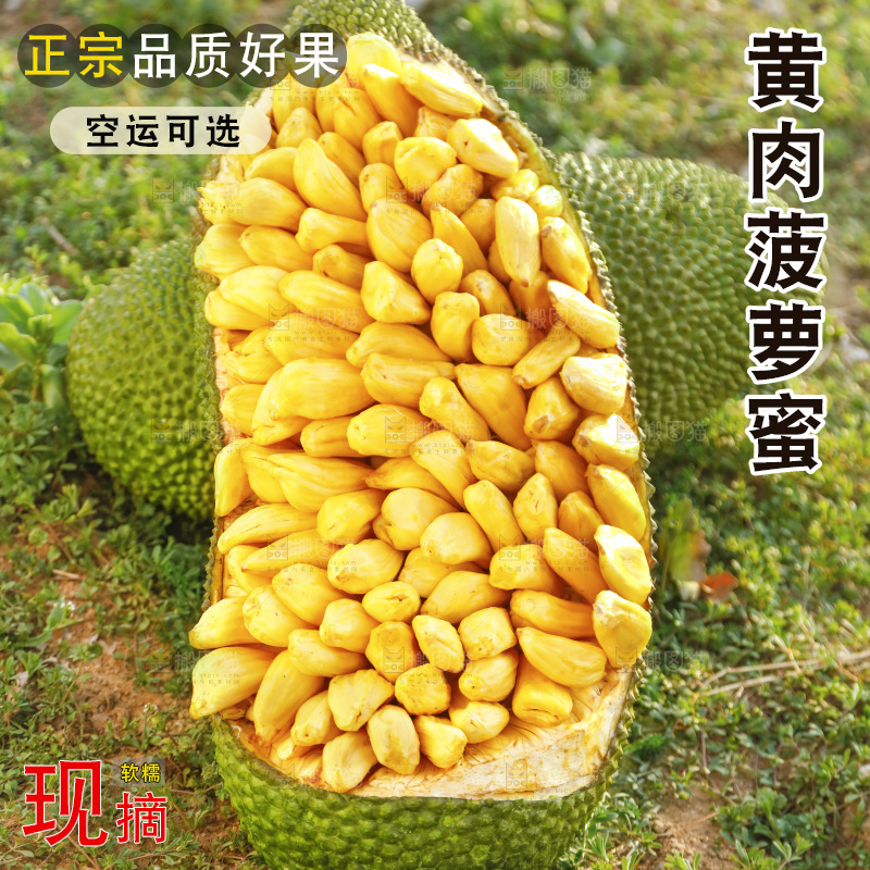 新鲜黄肉菠萝蜜