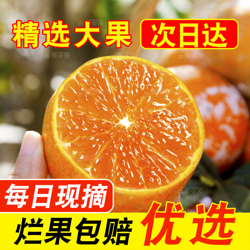 手里拿着切面的茂谷柑