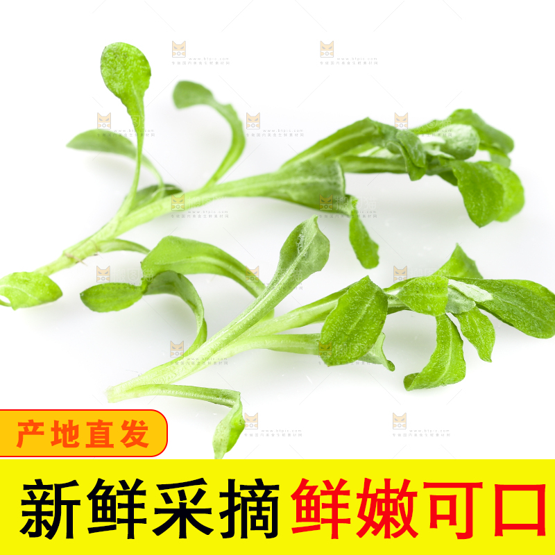 白底上放着清明草