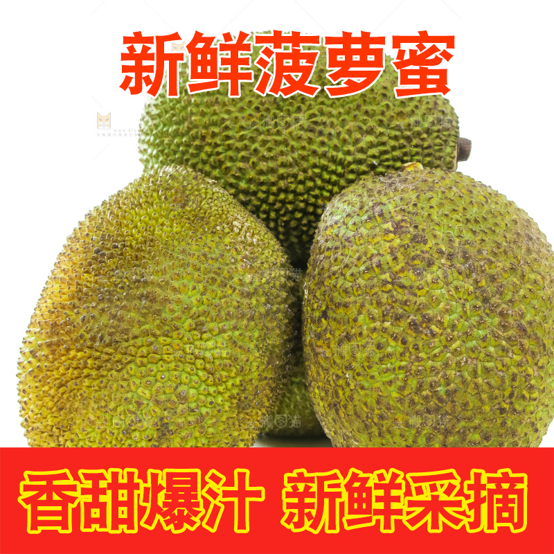 白底上放着一堆红肉菠萝蜜