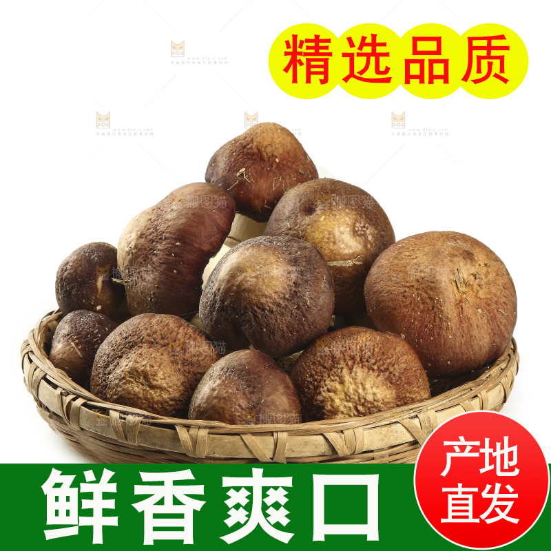 一篮赤松茸
