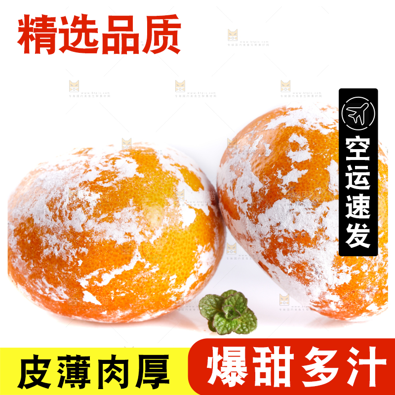 武鸣茂谷柑摆放在白底上