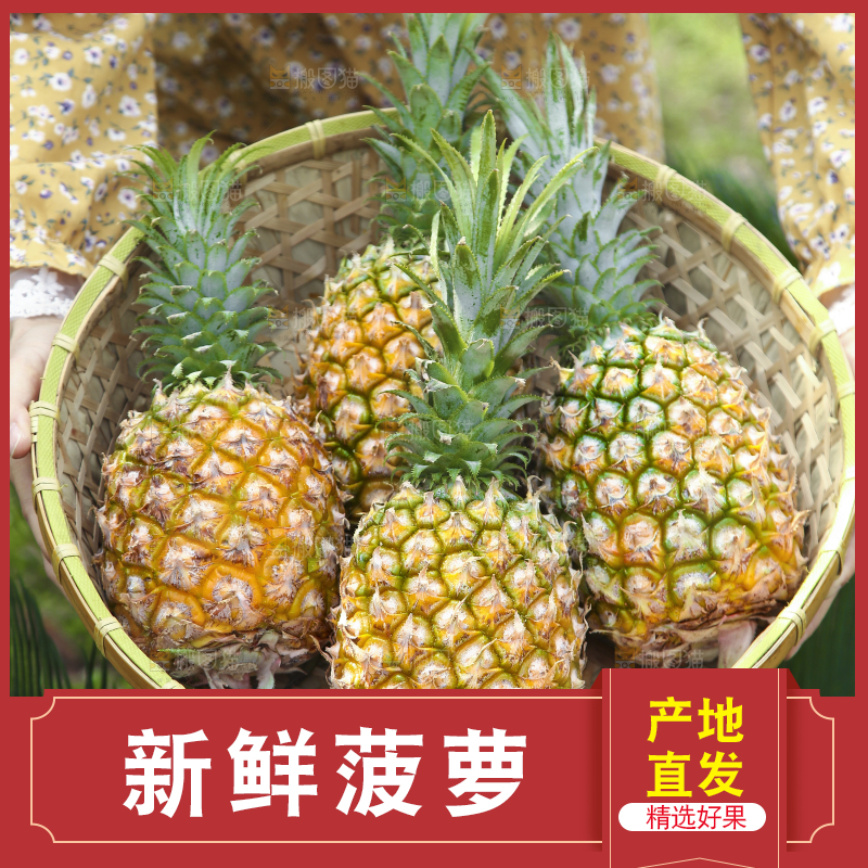 一篮新鲜菠萝