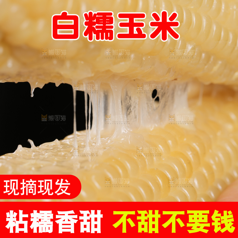 手里拿着白糯玉米棒