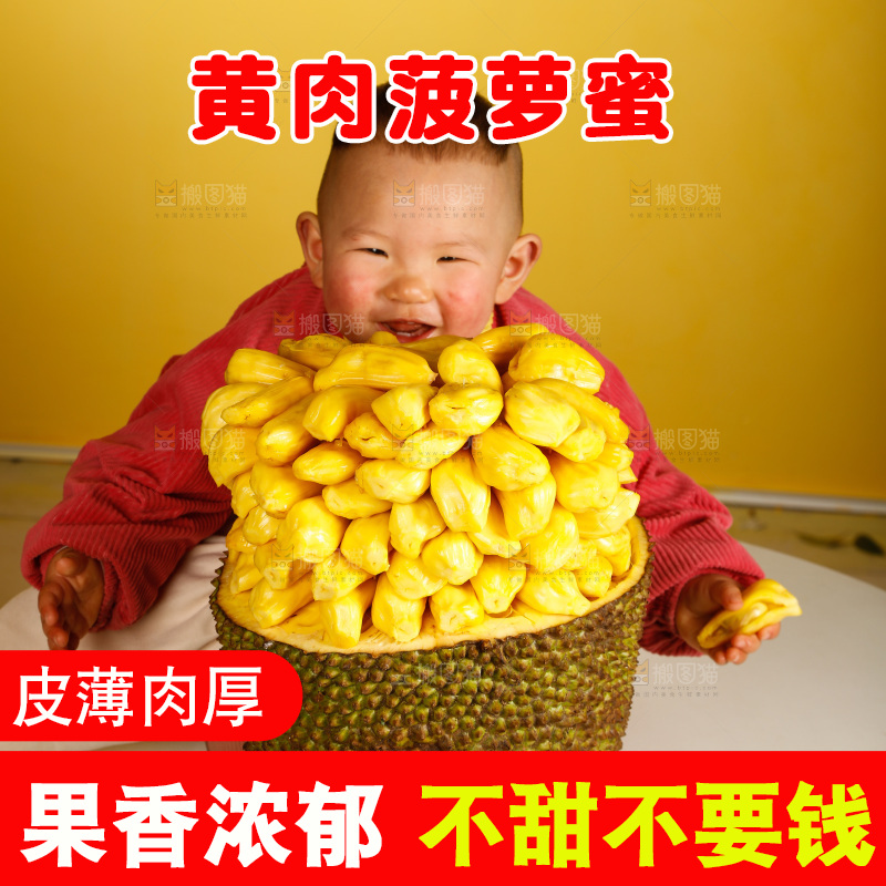 孩子吃着黄肉菠萝蜜