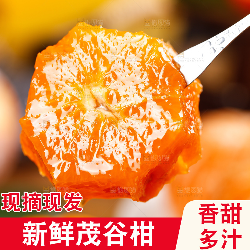 叉子上插着茂谷柑果肉