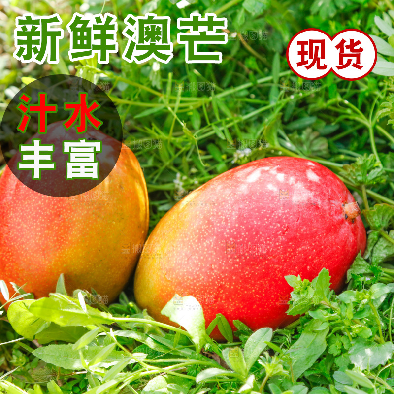 新鲜澳芒果