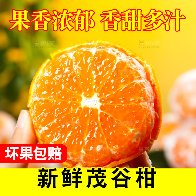 手里拿着柑橘