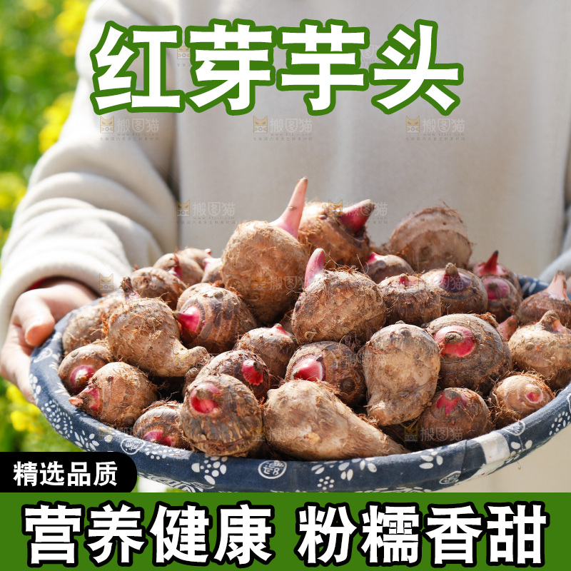 一篮新鲜红芽芋头