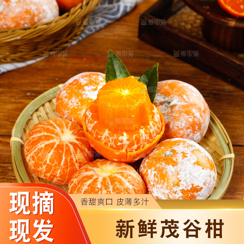 一篮广西茂谷柑