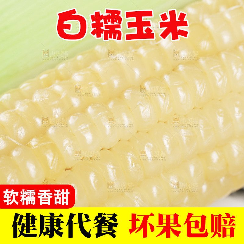 新鲜白糯玉米
