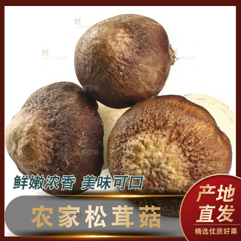 白底上放着松茸菇