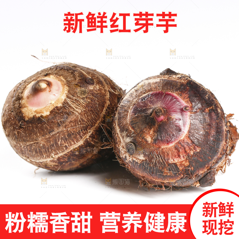 白底上摆放着红芽芋