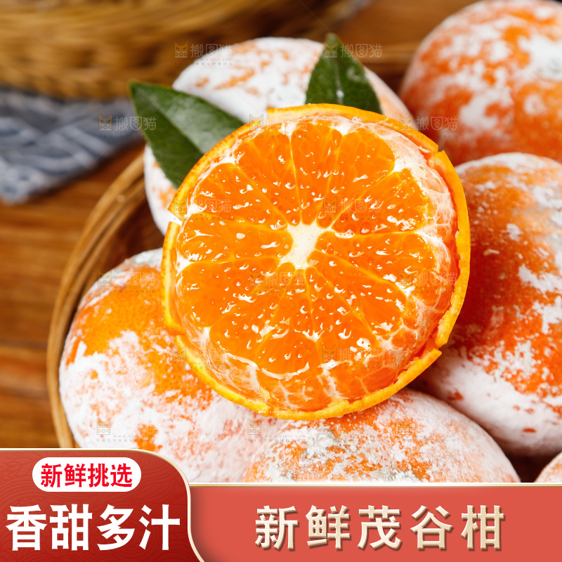 一篮广西茂谷柑