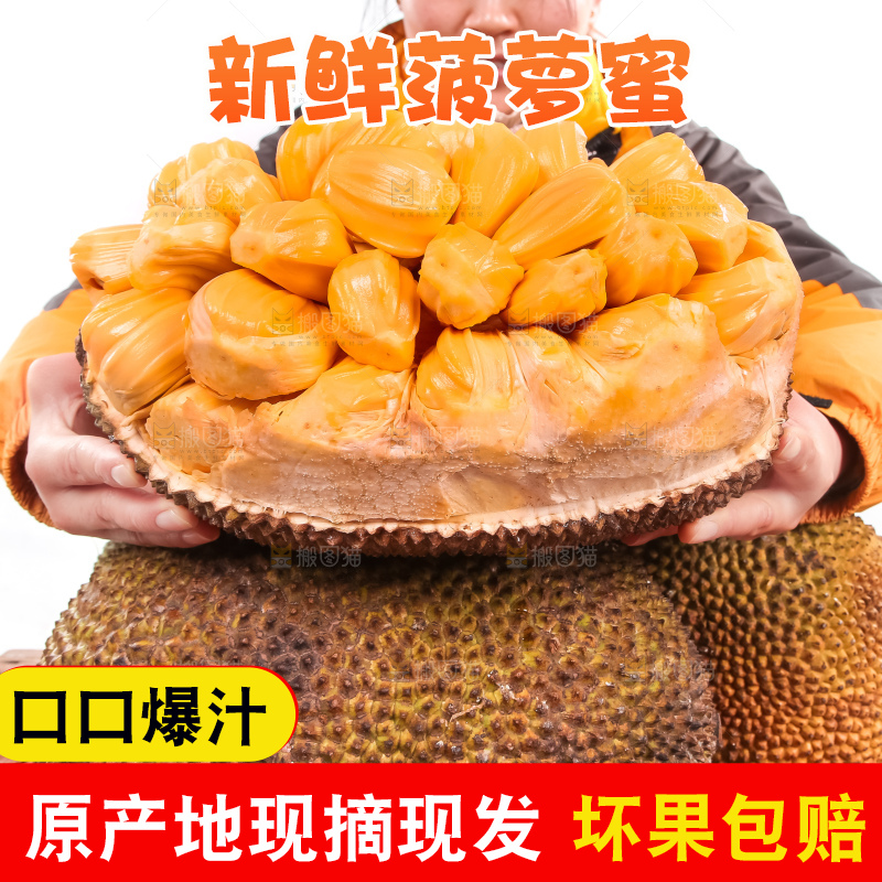 手里捧着红肉菠萝蜜