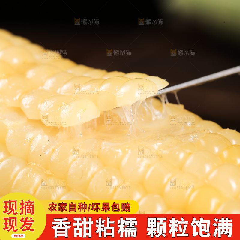 新鲜的白糯玉米