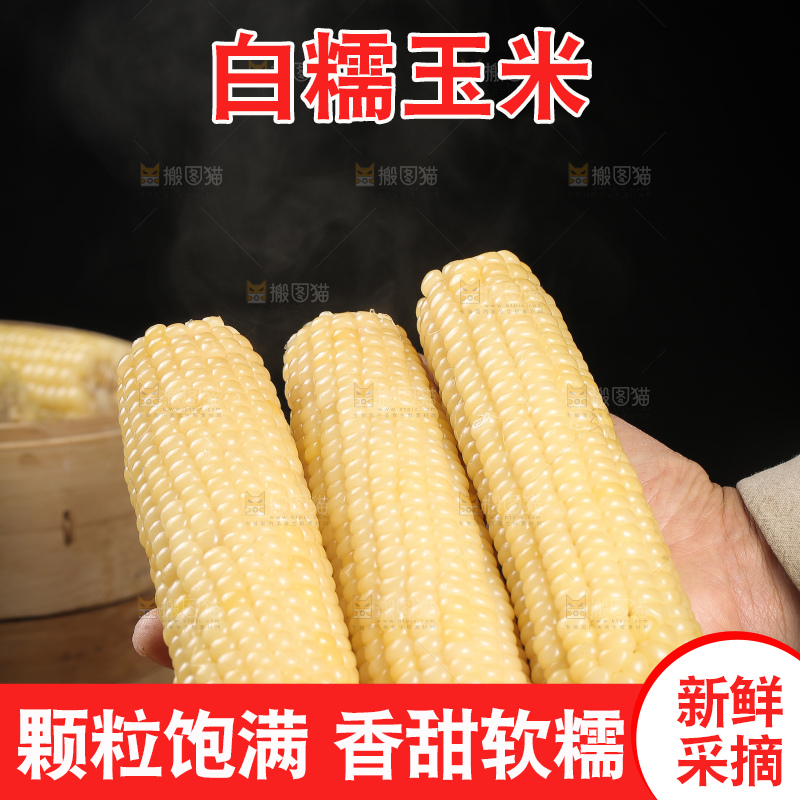 手里拿着甜糯玉米